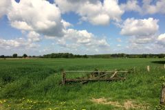 IMG_0179