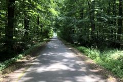 IMG_0537